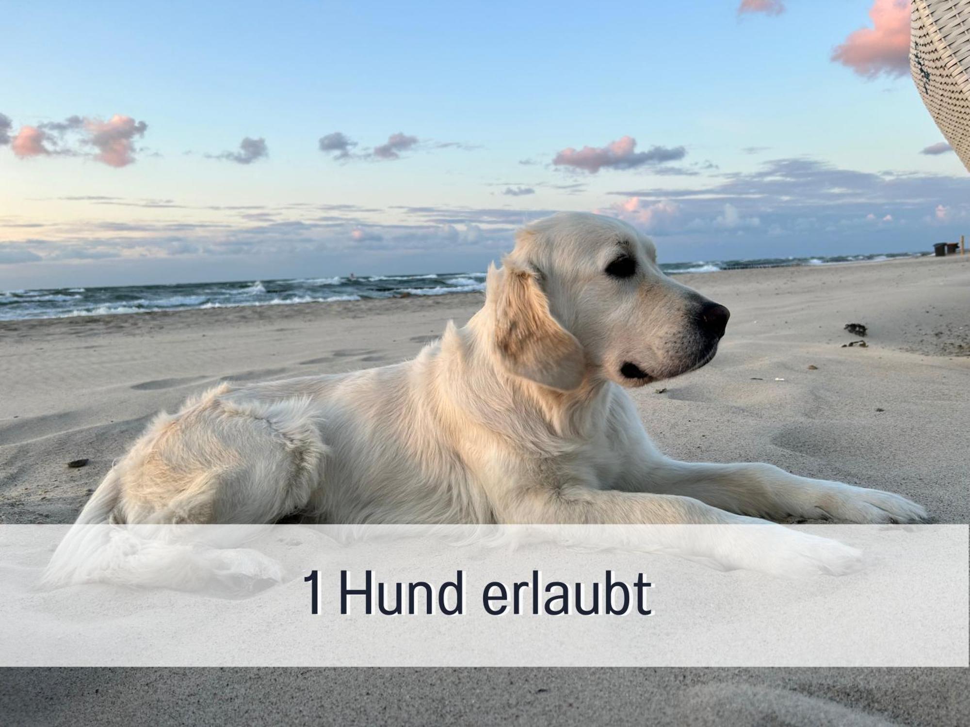 2 Zimmer App Duenengarten Lieblingsplatz Wg11 Ostseebad Kühlungsborn Exterior foto
