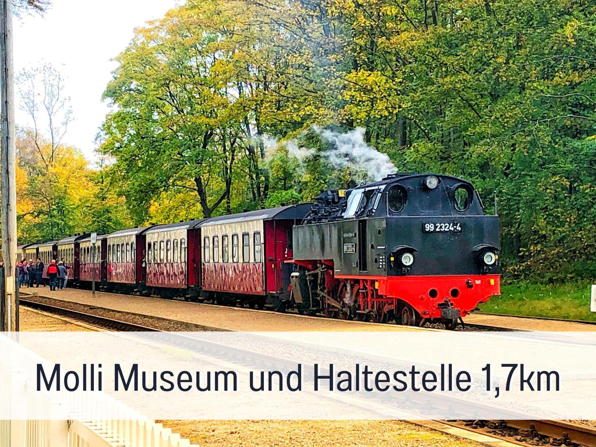 2 Zimmer App Duenengarten Lieblingsplatz Wg11 Ostseebad Kühlungsborn Exterior foto