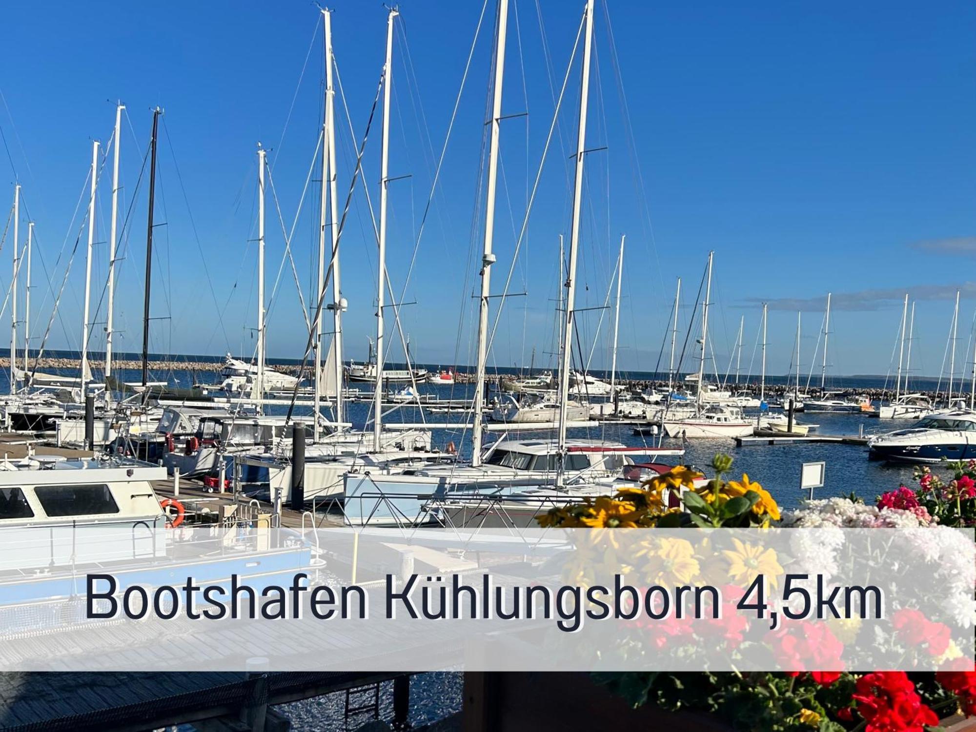 2 Zimmer App Duenengarten Lieblingsplatz Wg11 Ostseebad Kühlungsborn Exterior foto